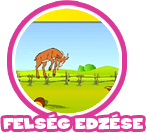 bibi blocksberg game